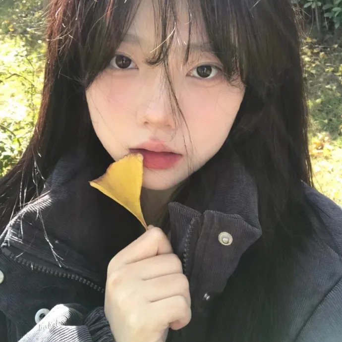 四个弟子倾国倾城